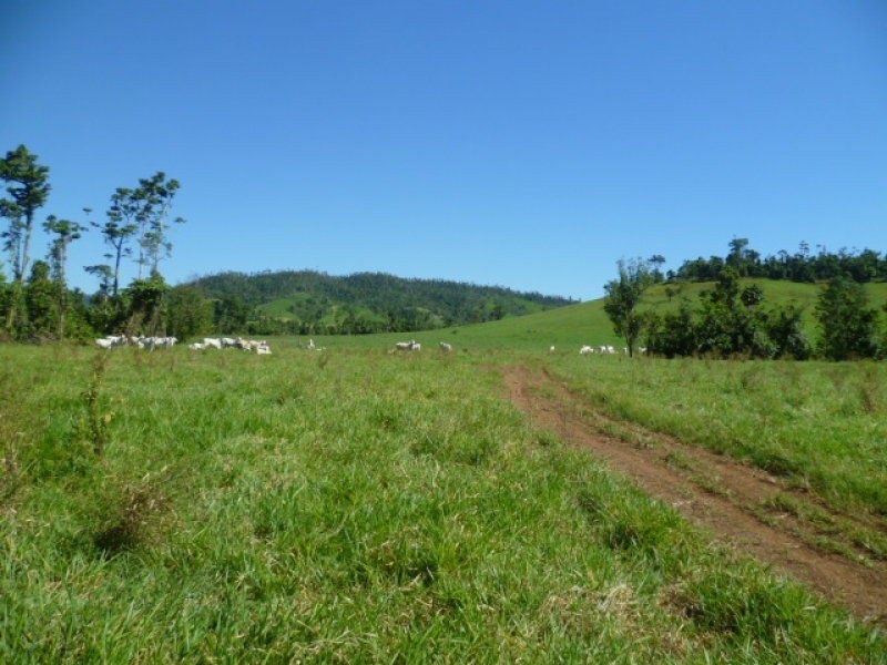 Mena Creek QLD 4871