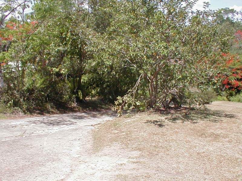 Innisfail QLD 4860