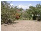 Innisfail QLD 4860