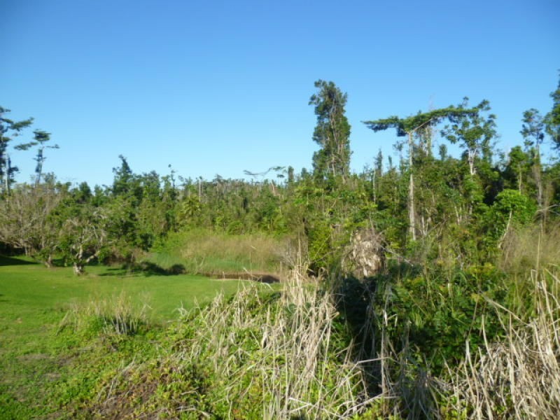Moresby QLD 4871