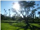 Moresby QLD 4871