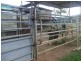 Mena Creek QLD 4871