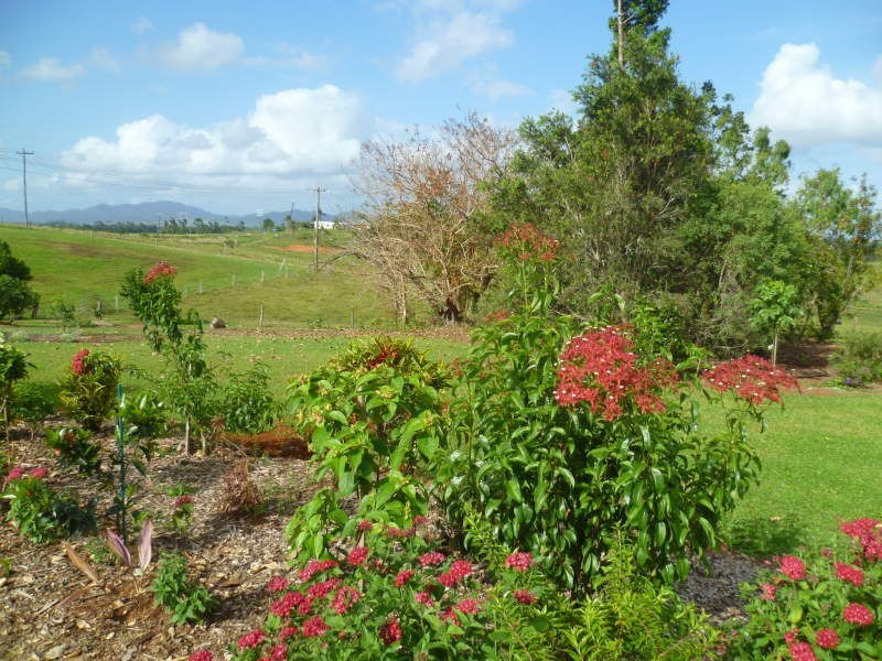 Innisfail QLD 4860