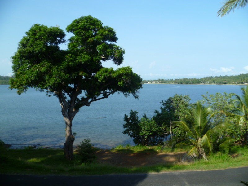 Innisfail QLD 4860