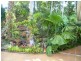 Innisfail QLD 4860