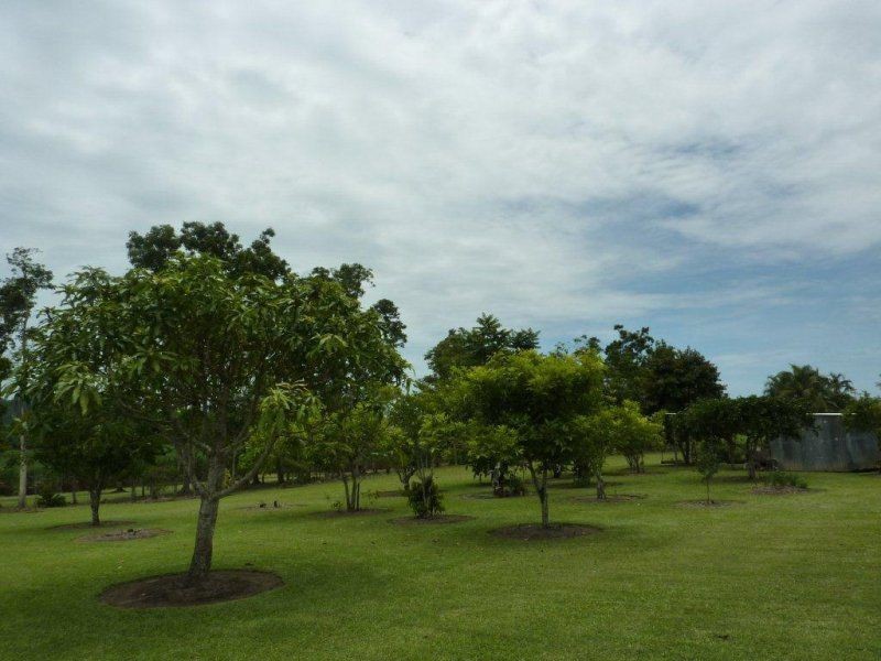Innisfail QLD 4860