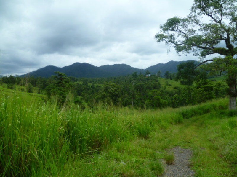 Mena Creek QLD 4871