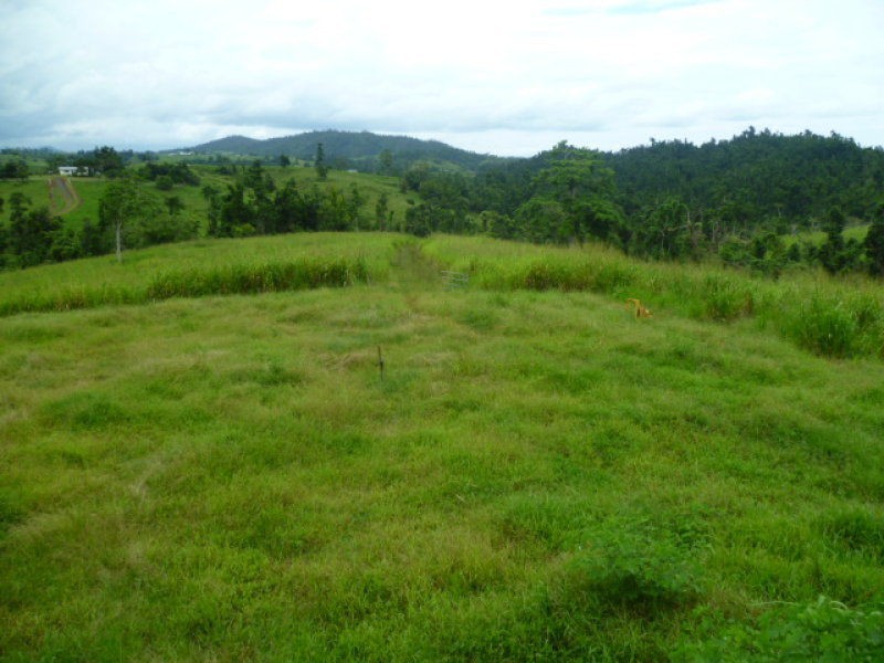Mena Creek QLD 4871