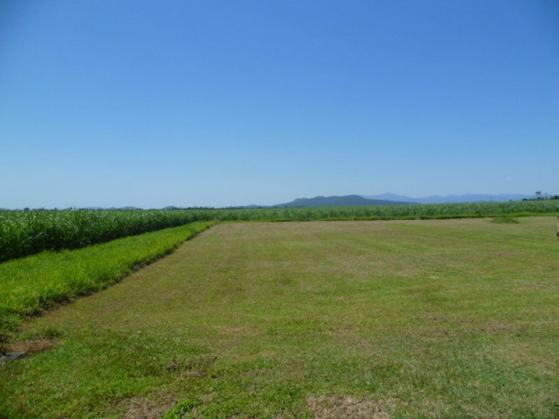 84 Wilkie Gray Road, Boogan QLD 4871