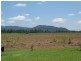 Innisfail QLD 4860