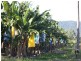 Innisfail QLD 4860