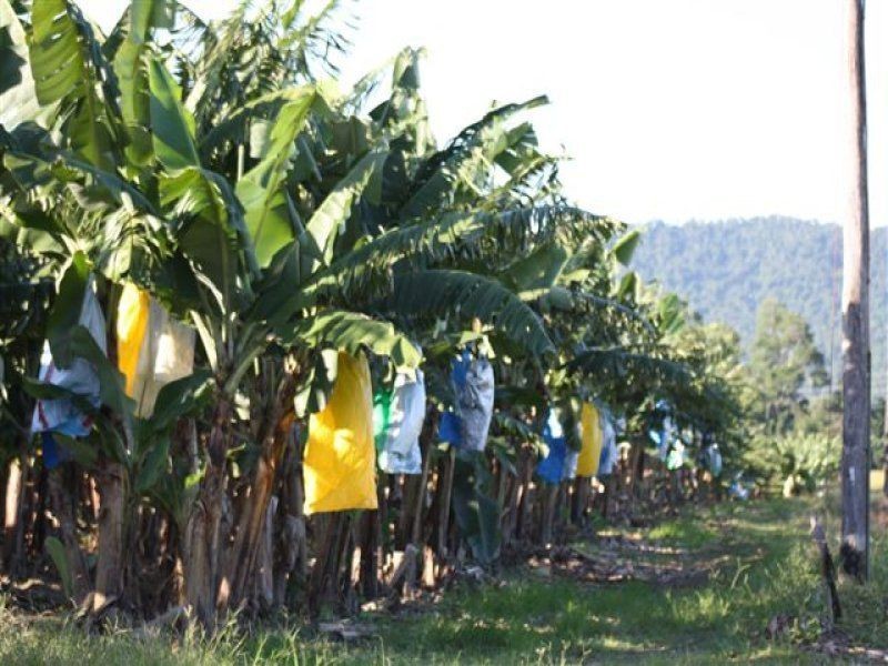 Innisfail QLD 4860