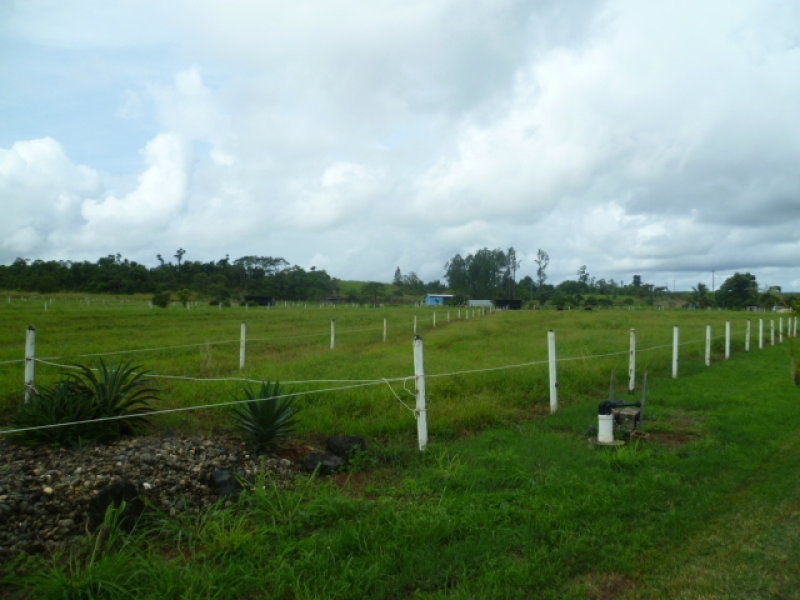 Garradunga QLD 4860