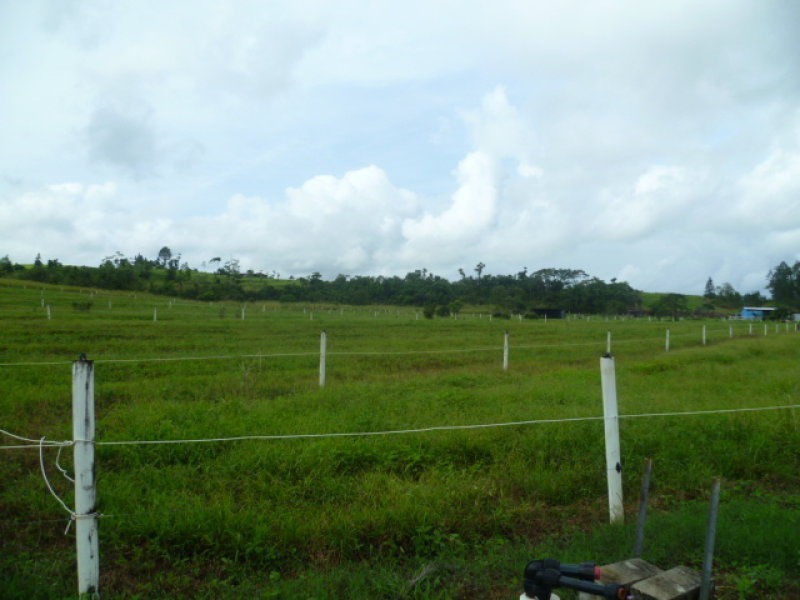 Garradunga QLD 4860