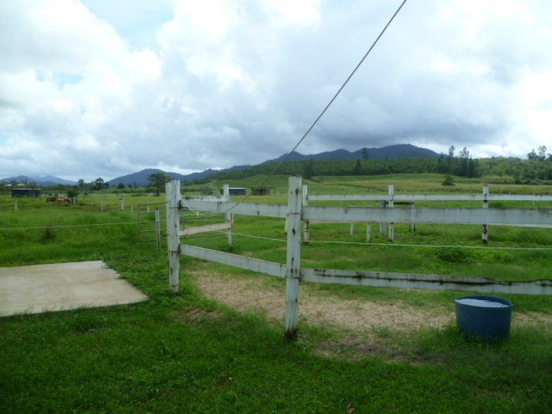 Garradunga QLD 4860