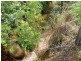 Garradunga QLD 4860