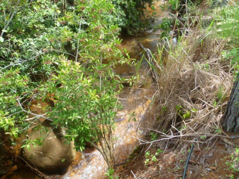 Garradunga QLD 4860
