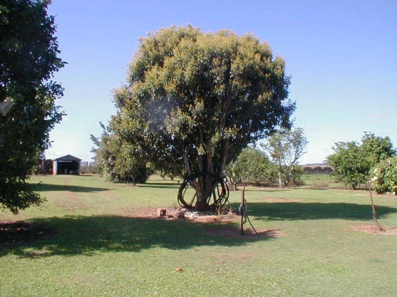 Innisfail QLD 4860