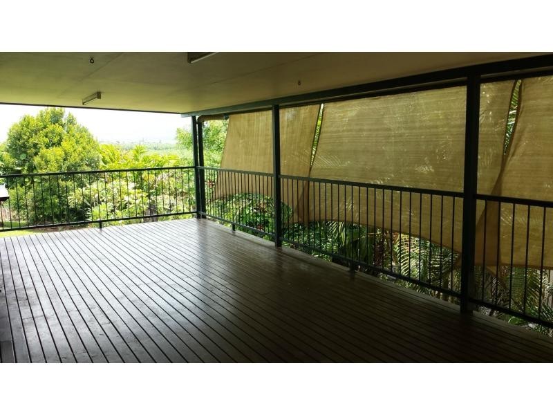 56 Laurie Street, Innisfail QLD 4860