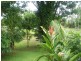 Innisfail QLD 4860