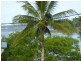 L8 Esplanade Street, Coconuts QLD 4860