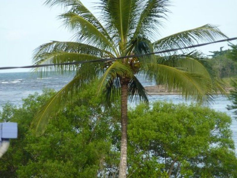 L8 Esplanade Street, Coconuts QLD 4860