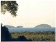 Kurrimine Beach QLD 4871