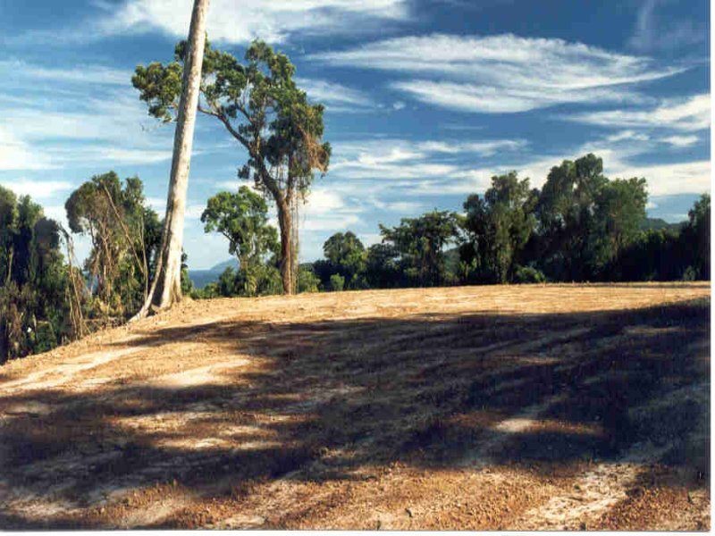 Kurrimine Beach QLD 4871