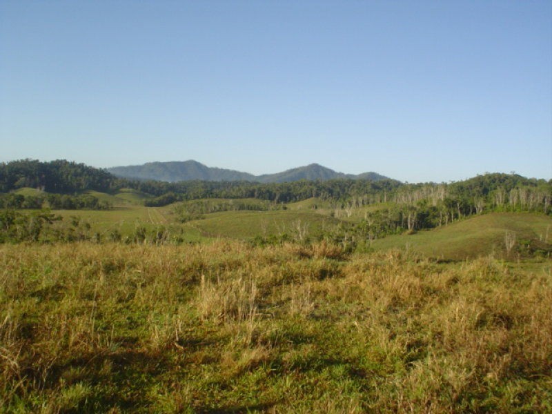 L. Woopen Creek Street, Innisfail QLD 4860