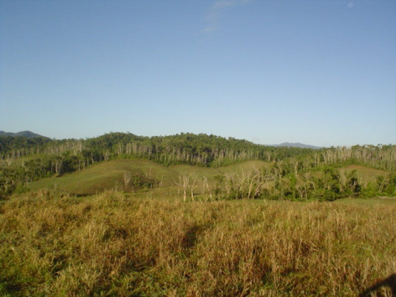 L. Woopen Creek Street, Innisfail QLD 4860