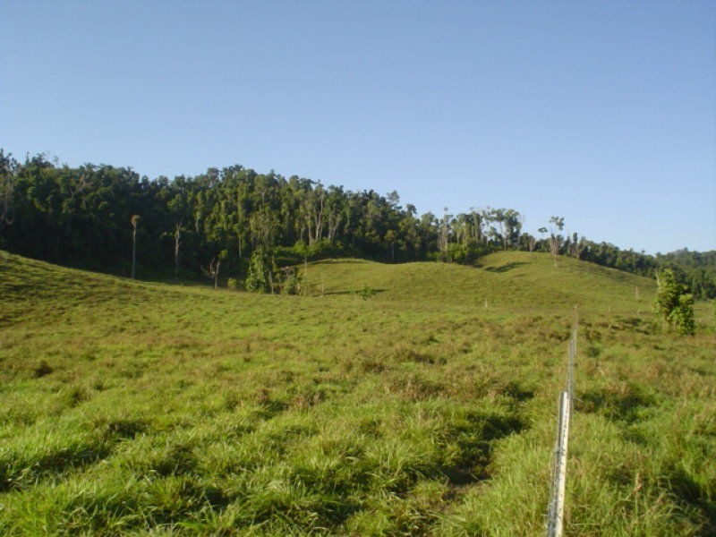 L. Woopen Creek Street, Innisfail QLD 4860