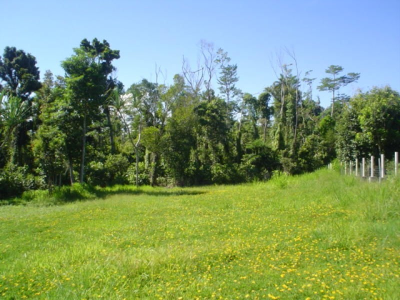 Innisfail QLD 4860