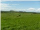 Innisfail QLD 4860