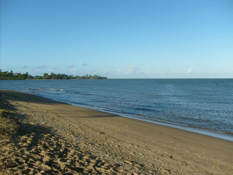 Coconuts QLD 4860