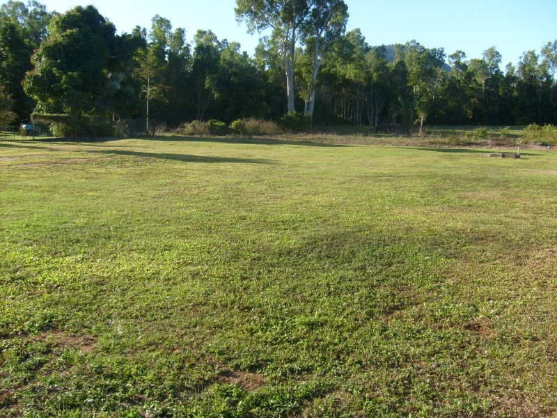 Coconuts QLD 4860