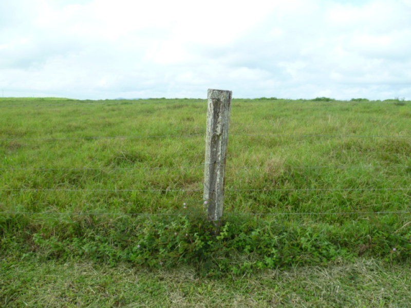 . Belvedere Avenue, Innisfail QLD 4860