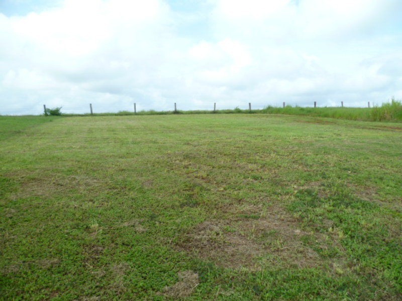 . Belvedere Avenue, Innisfail QLD 4860
