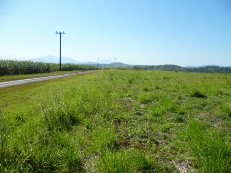 Camp Creek QLD 4871