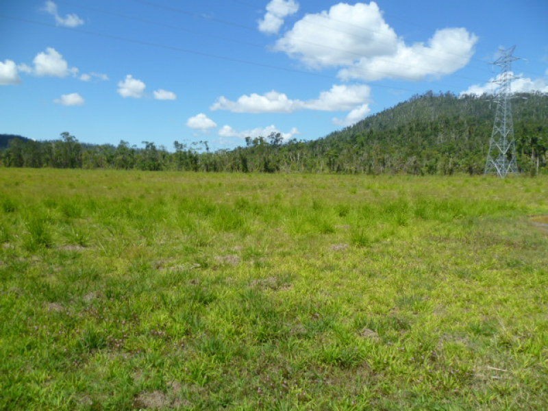Mena Creek QLD 4871