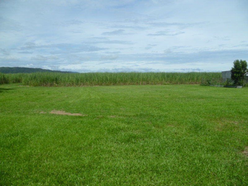 L. Mundoo Street, Innisfail Estate QLD 4860