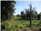 Innisfail QLD 4860