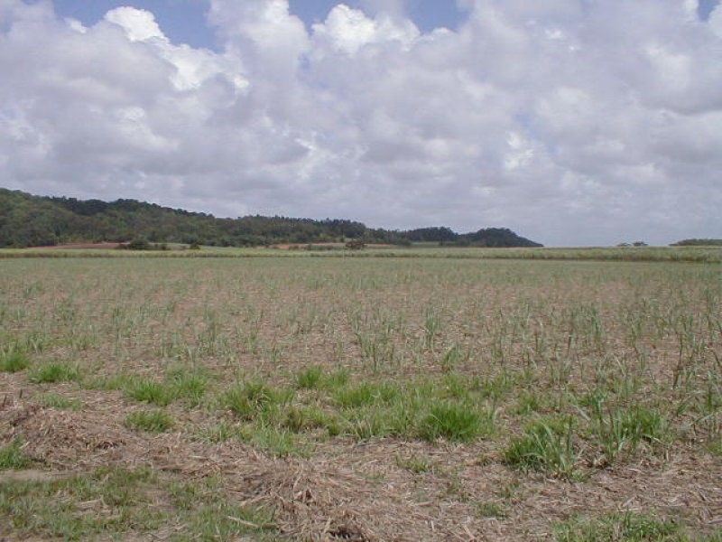 Innisfail QLD 4860