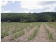 Innisfail QLD 4860