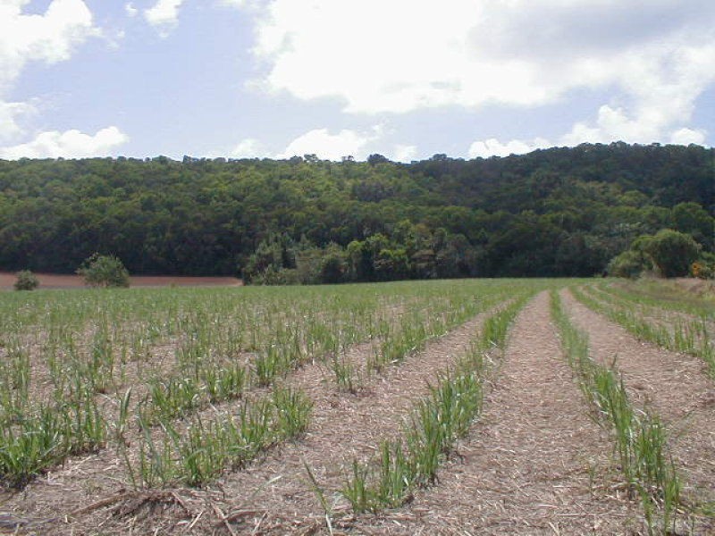 Innisfail QLD 4860