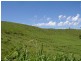 Innisfail QLD 4860