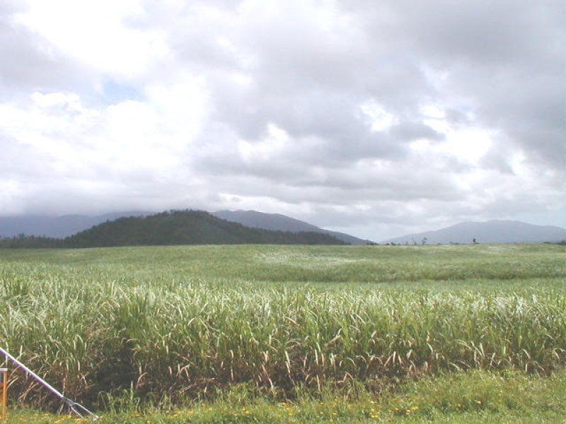 Innisfail QLD 4860