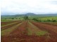 Innisfail QLD 4860