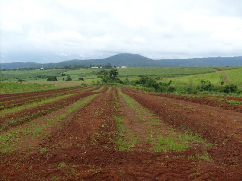 Innisfail QLD 4860