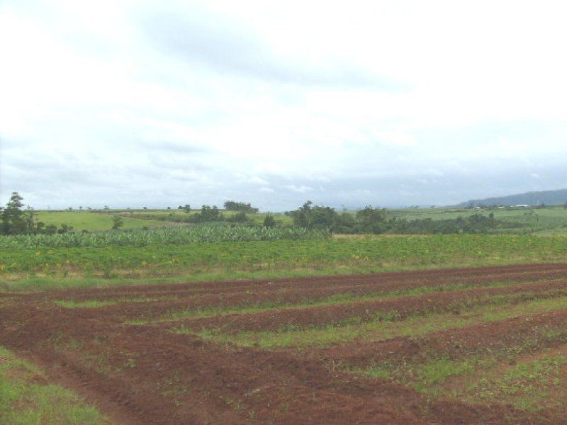 Innisfail QLD 4860