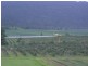 Innisfail QLD 4860